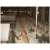 Import Modern poultry farm equipment Manufacturers with poultry feeding systems from China