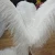 Import Most popular wedding natural white ostrich feather for wedding decoration from China