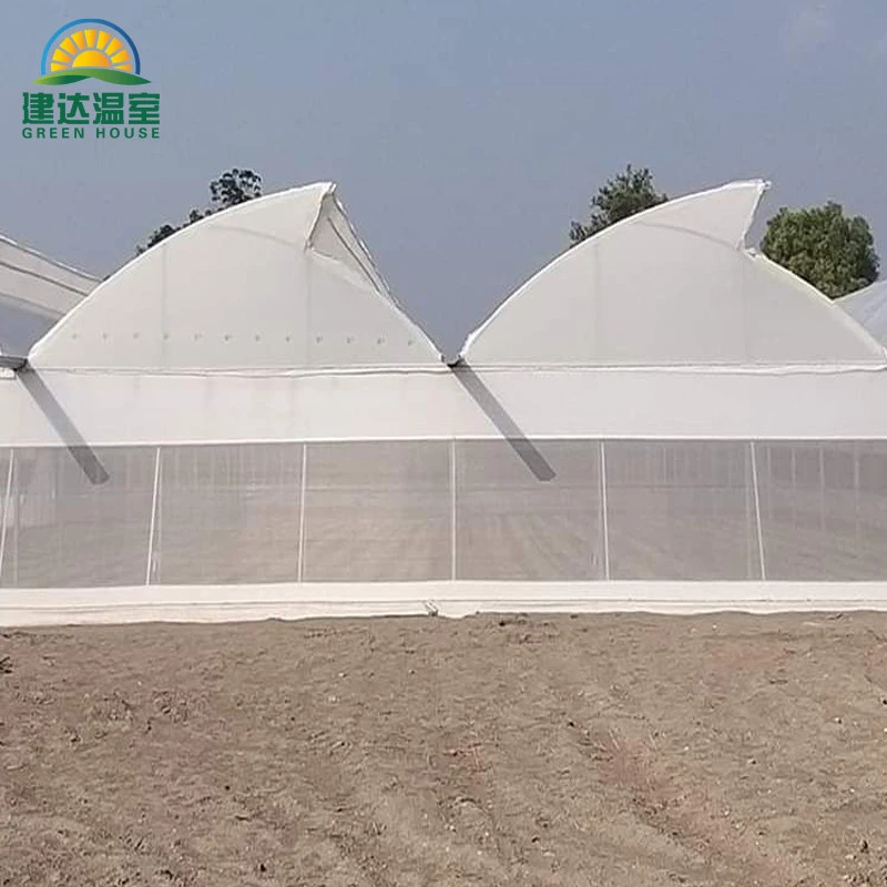 multi span film greenhouse made in china
