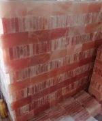 Natural Himalayan Salt bricks / Himalayan Salt Tiles/ Himalayan Salt Slab