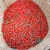 Import new arrival top quality fresh goji berry dried fruit from Ningxia China from China
