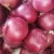 Import New Crop Red Onion and Yellow Oniontop Quality Low Price Experienced Manufacture Direct Supplier Size 3-7cm, 5-8cm, 8cm up Peeled Yellow Onion Red Onion. from China