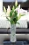 Import New design plastic pvc foldable flower vase from China
