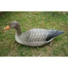 New Modle  PE  Plastic  Hunting Duck  bird decoy  for garden  decoration