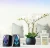 Import New Portable USB Home Theatre System Speaker Wireless Audio Sound System LED Speakers Indoor Outdoor Stage with Colorful Lights from China