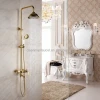 New style Wholesales Luxury  bathroom shower set with shower head