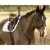 Import New Top Quality leather horse saddle/Professional English jumping Horse Riding Saddles from China