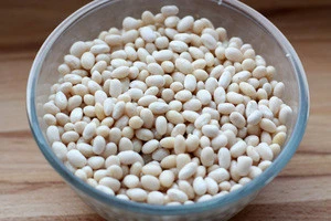 Nitrate-free - natural product from Ukraine from 22 tons - White kidney beans