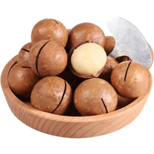 OEM customize macadamia flavor package full size own factory and planting base in Yunnan shelled or in shelled macadamia