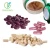 Import OPC Proanthocyanidin procyanidin 95% Grape Seed Extract For Antioxidation And Anti-aging Skin Care from China