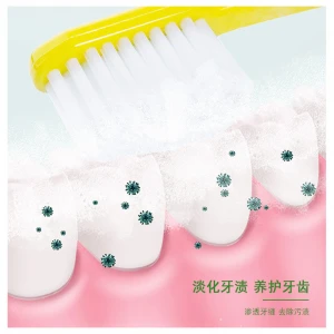 Oral care toothpaste dispenser whitening tube toothpaste