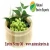 Import Organic Certified Neem Seed Extract - Neem Oil from NEE from India