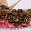 Organic  dried  flower mushroom