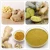 Import Organic ginger extract 6-gingerol price zingiber cassumunar powder from China