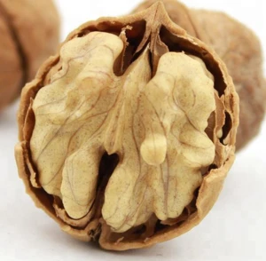 Organic Raw Walnuts in Shell Walnut Kernels Price