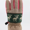 Outdoor Hot Selling High Quality Waterproof Warm Ski Women Ski Gloves