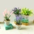 Import outdoor indoor  artificial plants for home decor flower from China