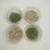Pao tong zhong zi barren resistant foxglove paulownia tomentosa seed for growing