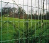 Particular Design Decorative Galvanized Holland Wavy Wire Euro Fence Garden Fence Panels For Sale