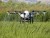 Payload Pesticide Fertilizer Spraying Agricultural Crop Spraying Drone