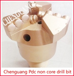 PDC Drill Bit,PDC core drill bit,PDC non core drill bit.