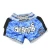 Import Personalized customization Multiple styles Thai boxing Fight Shorts Quick Dry  MMA Wear from China