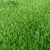 Import Pet grow Realistic Artificial Grass Turf Indoor Outdoor Garden Lawn Landscape Synthetic Grass Mat  Thick Grass Rug from China