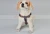 Import Pet Suspenders Traction Rope Anti-bite Safety Pet Supplies Dog Collar from China