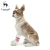 Import ( PLW012 ) Pet apparel dog leg protect sleeve pet dog leg warmer from China
