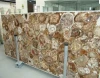 Polished Petrified wood stone quarries in turkey marble for decoration