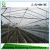 Import Poly Tunnel single span film Agriculture Greenhouse From China green house from China