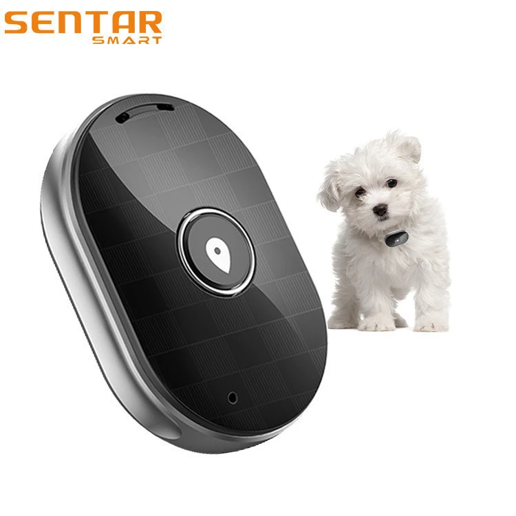 Popular Custom Activity Dog GPS Pet Tracker With SOS Water Resistance