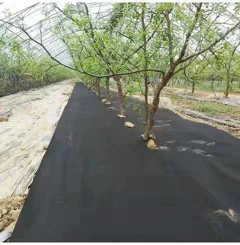 PP Spunbond Nonwoven Fabric for Agriculture Uses, non woven fabric for Seed Cover, polypropylene non-wovens tnt Weed
