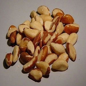 Premium Quality Raw Brazil Nuts, Organic Brazil Nuts Available