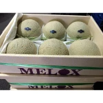 Prevent the formation of black spots fresh melon for sale