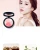 Import Private Label Blusher Brushes Case Blusher Palette from China