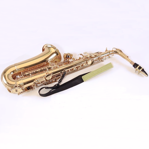 Professional Alto Saxophone/Saxofone/Sax/Saxofoon sale