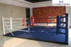 Professional boxing ring