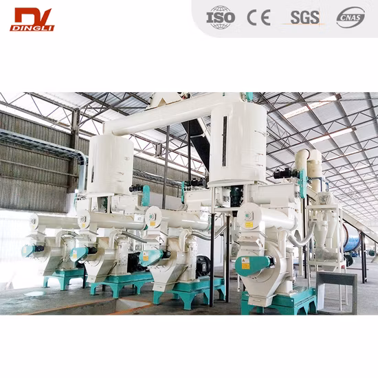Professional Rice Husk Pellet Production Line for Sale
