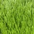 Import Professional Sport  Soccer Grass Synthetic Artificial Grass For Football Field from China
