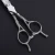 Import Professional unique design hair cutting scissors sword blades symmetrical carving handle  japan steel hair scissors MS003 from China