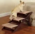 Import PS-1022,Portable 2-in-1 Pet Folding Dog Cat Step Stairs Ladder from China