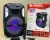Import QS-4801 New design surround sound dj speaker 8 inch horn rechargeable karaoke speaker with colorful light from China