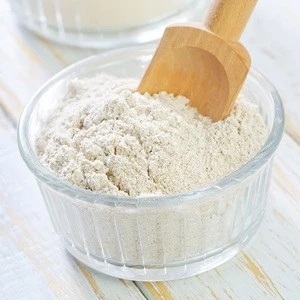 quality wheat flour for sale in bulk