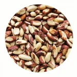 Raw Brazil Nuts /Brazil Nuts Shelled Brazil Nuts -100% Natural at best costs