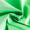 Recycle RPET GRS nylon fabric taslon fabric for jacket dust coat