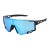 Import Replaceable Glasses Lens Bicycle Riding Glasses Bicycle Glasses Polarized from China