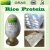 Import Rice Protein Powder for Baby Food ingredient from China