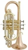SCT101 gold brass cornet