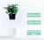 Import Self Watering Planter African Violet Pots Plastic White Flower Plant Pot with Wick Rope for All House Plants Flowers Herbs SML from China